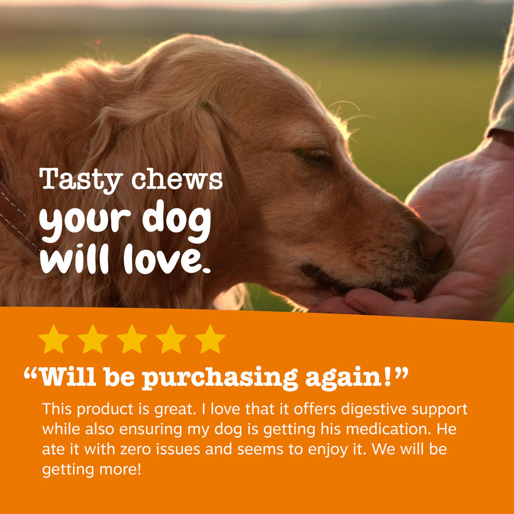 Dog Pill Wrap product image 5