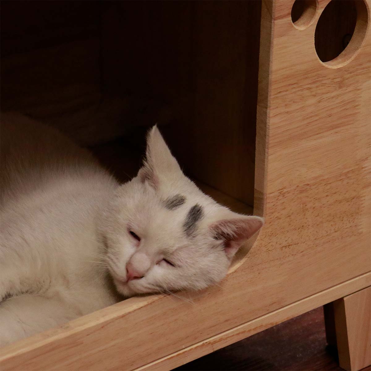 Cat House product image 4