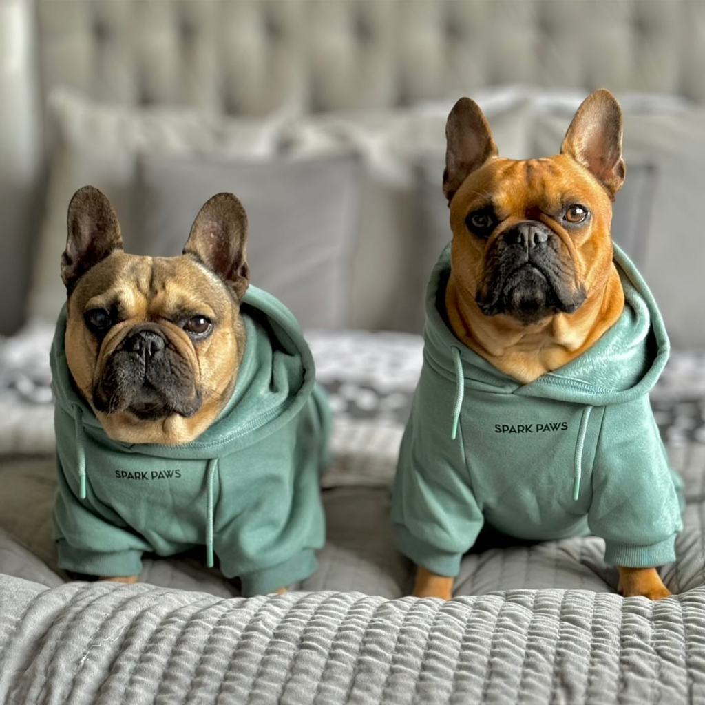 Dog Hoodie product image 13