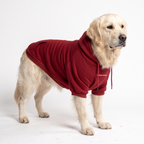 Dog Hoodie product image 20