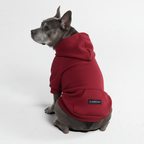 Dog Hoodie product image 24