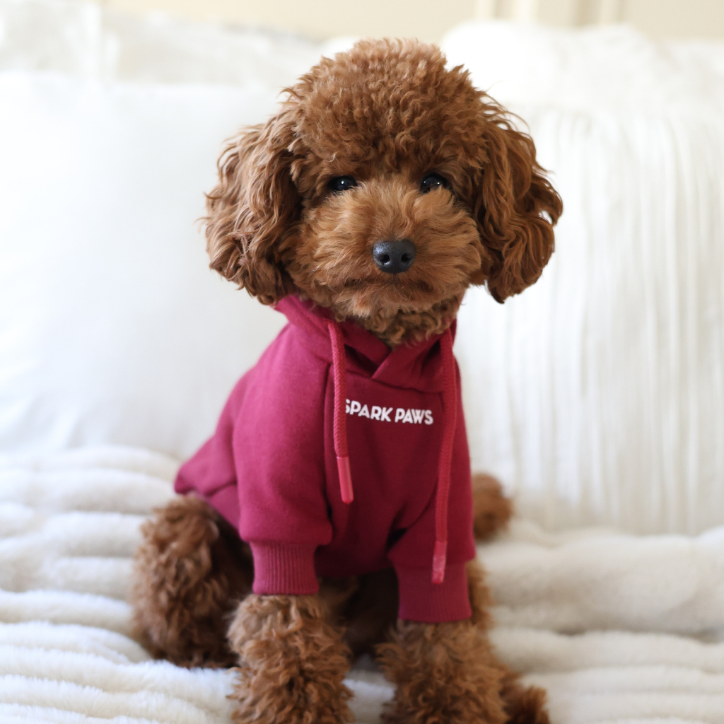 Dog Hoodie product image 26