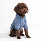 Dog Hoodie product image 30