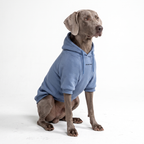 Dog Hoodie product image 33