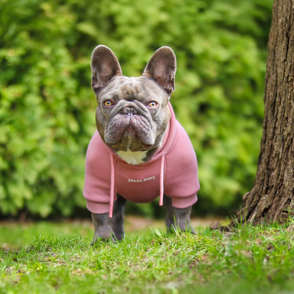 Dog Hoodie product image 51