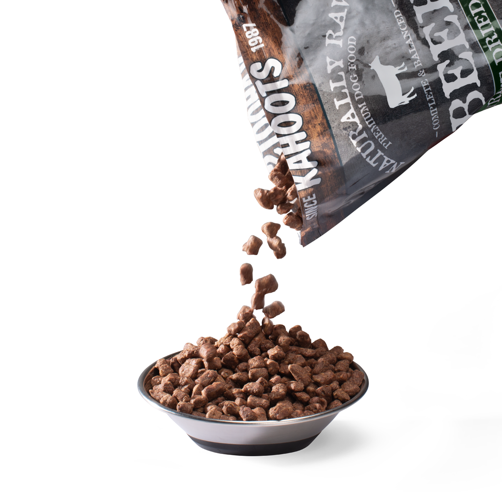 Dog Food product image 2