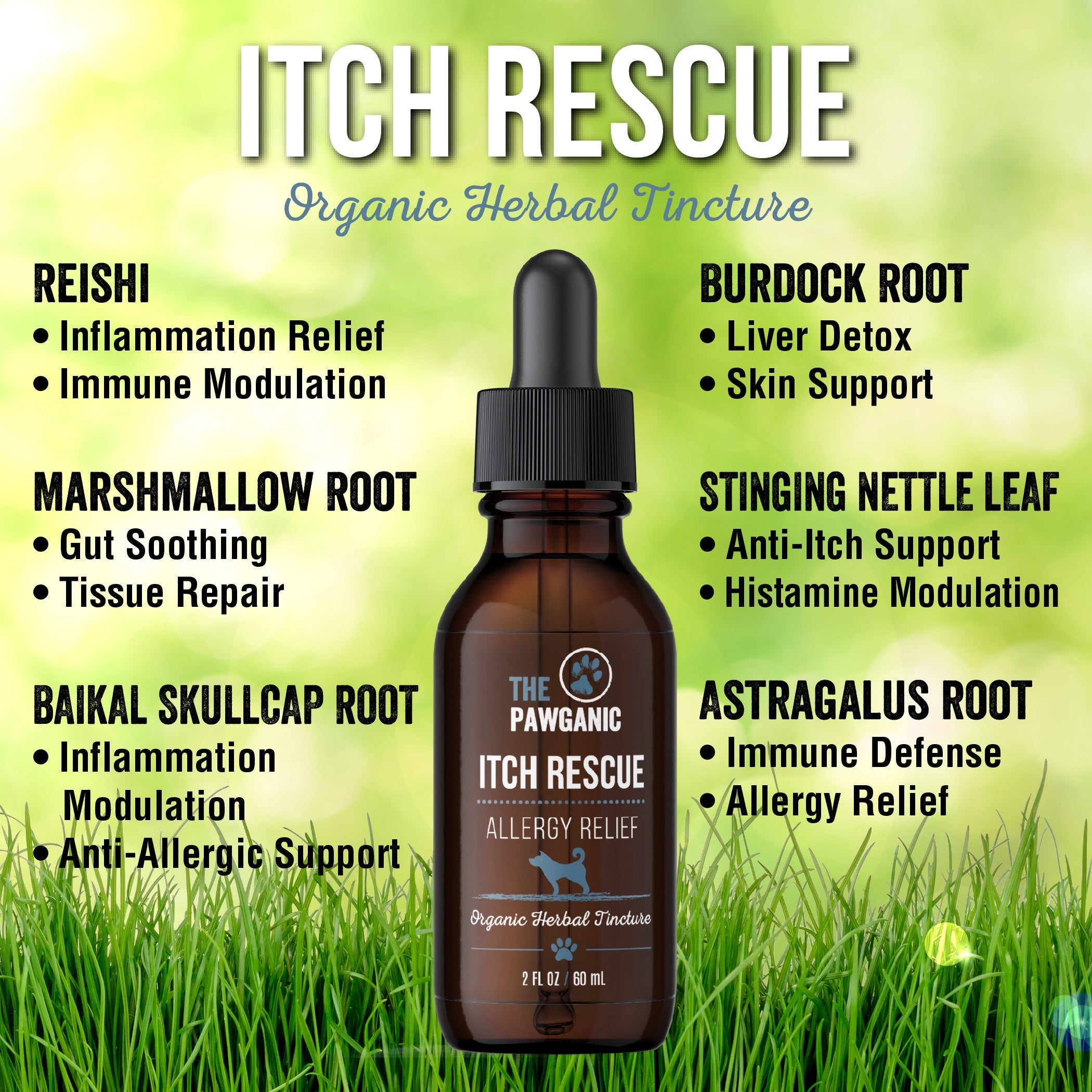 Dog Skin Supplement product image 2