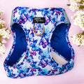 Step-In Dog Harness product image 1