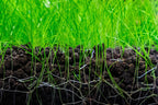 Aquarium Soil product image 3