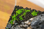 Aquarium Soil product image 4