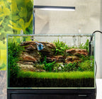 Aquarium Soil product image 5