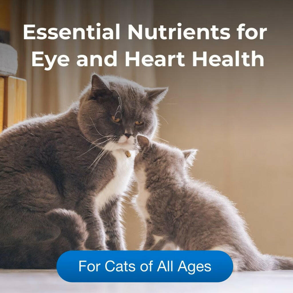 Cat Taurine Supplement product image 6