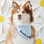 Dog Bandana product image 3