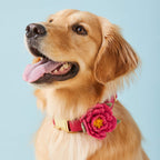 Dog Collar Flower product image 4