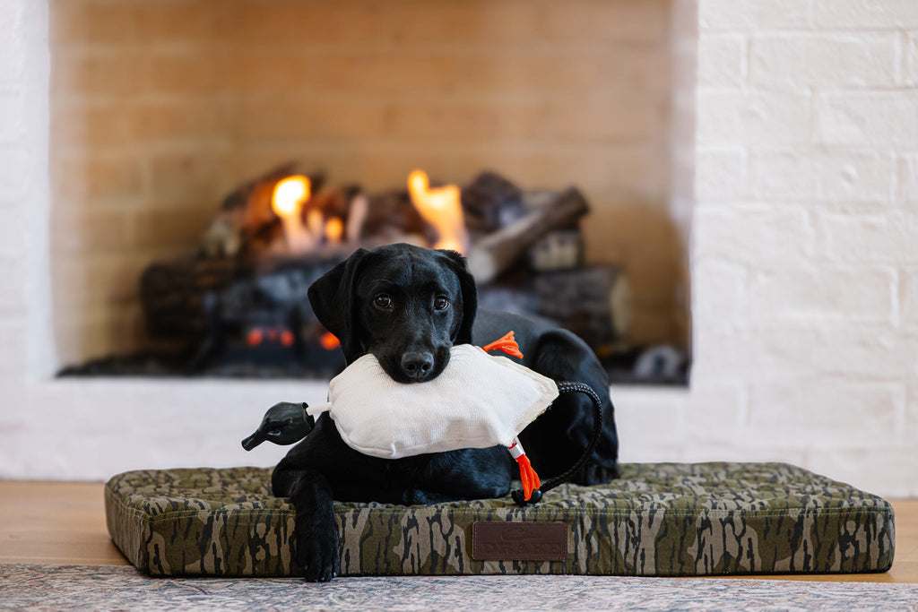 Memory Foam Dog Bed product image 2