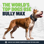 Yak Milk High-Protein Dog Chew product image 9