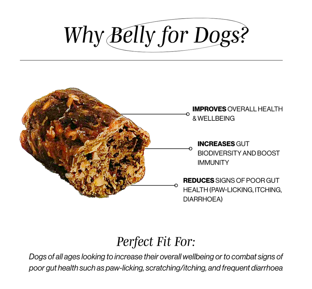 Dog Probiotic Chews product image 2