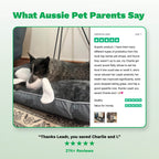Dog Probiotic Chews product image 3