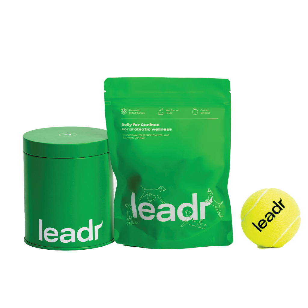 Dog Probiotic Chews product image 4