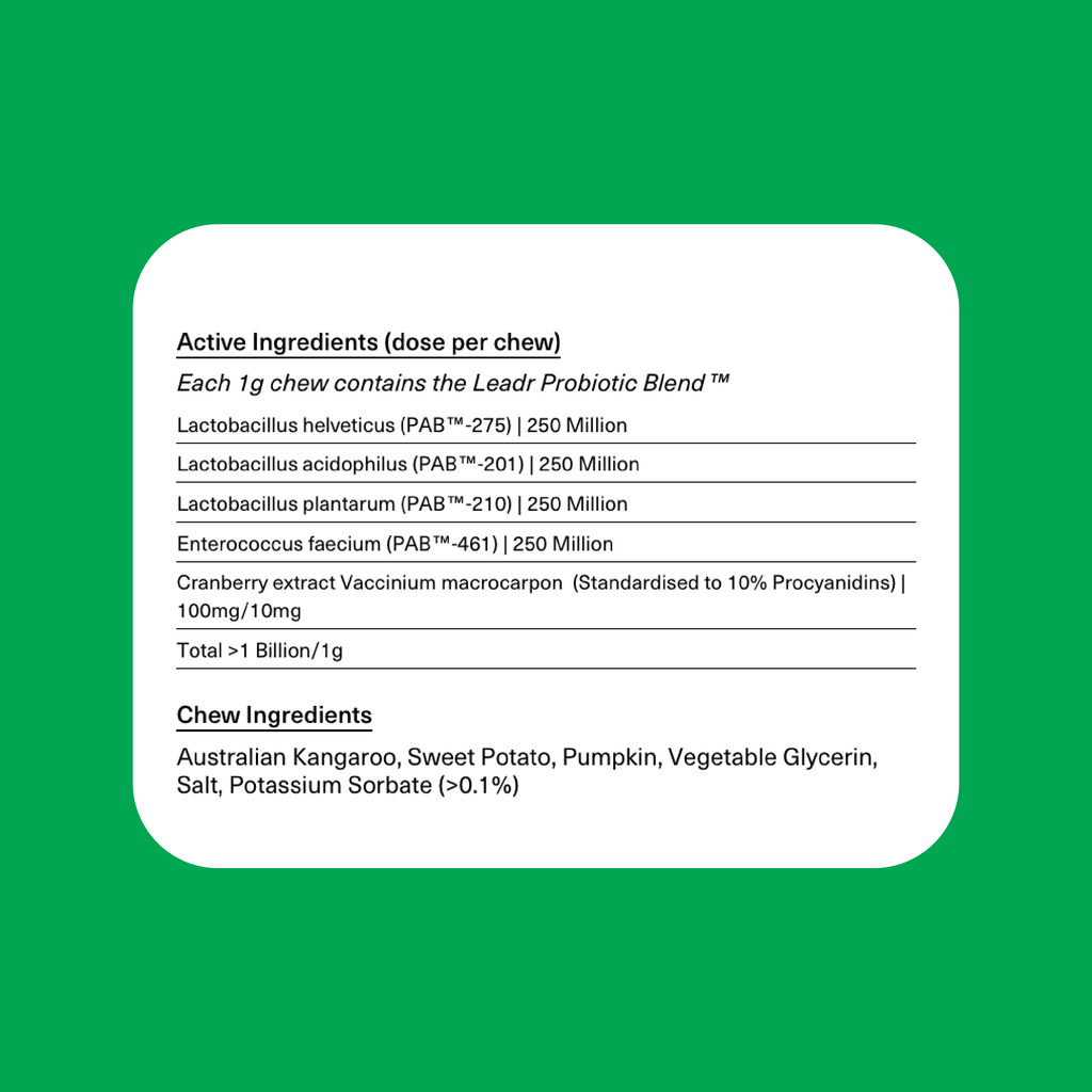 Dog Probiotic Chews product image 6