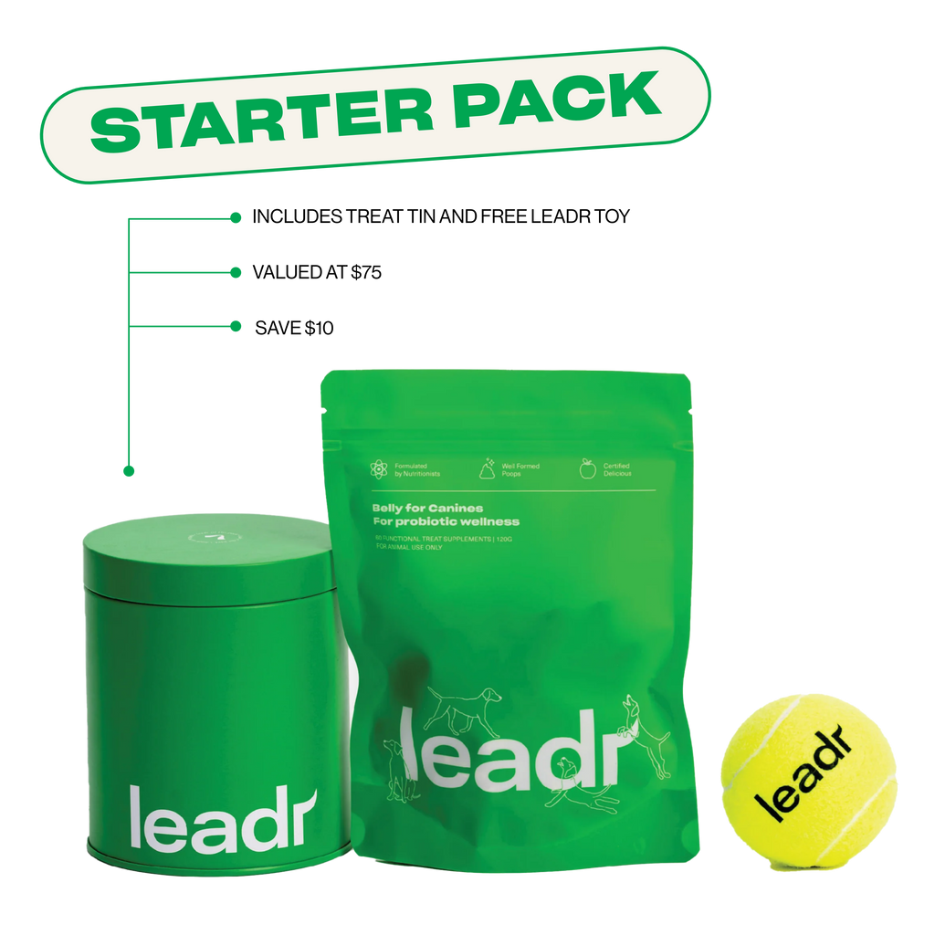 Dog Probiotic Chews product image 7