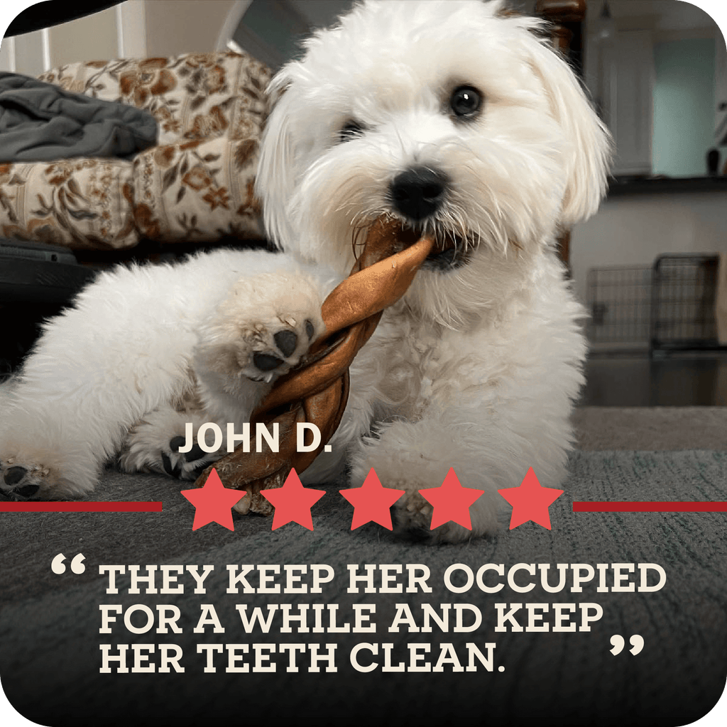 Dog Chews product image 13