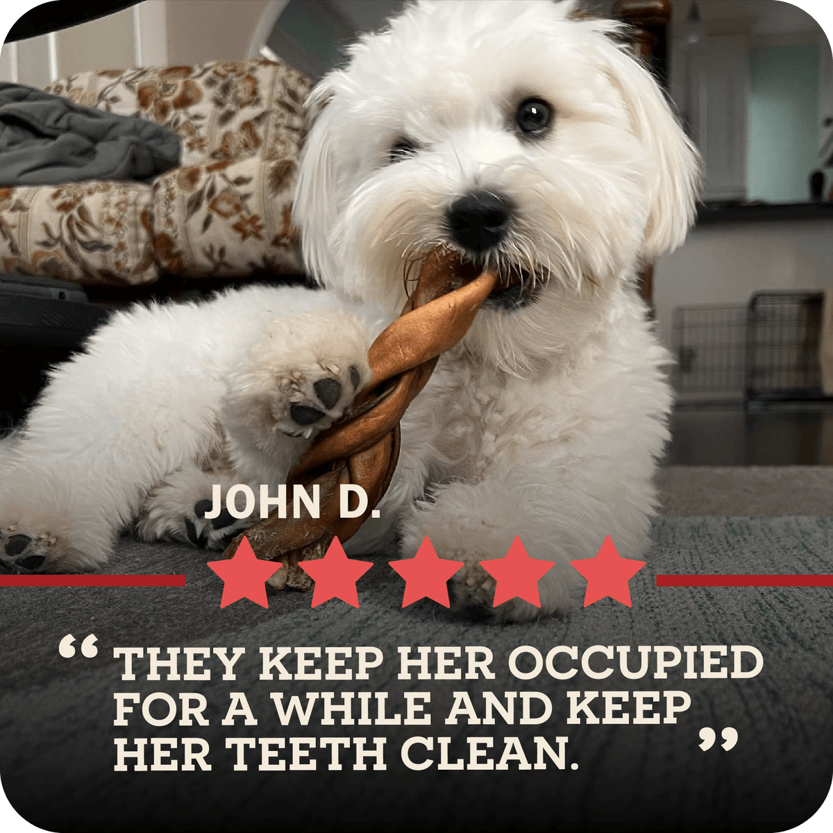 Dog Chews product image 13