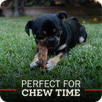 Collagen Dog Chew product image 2
