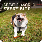 Collagen Dog Chew product image 4