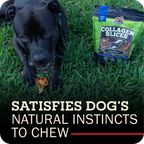 Collagen Dog Chew product image 6