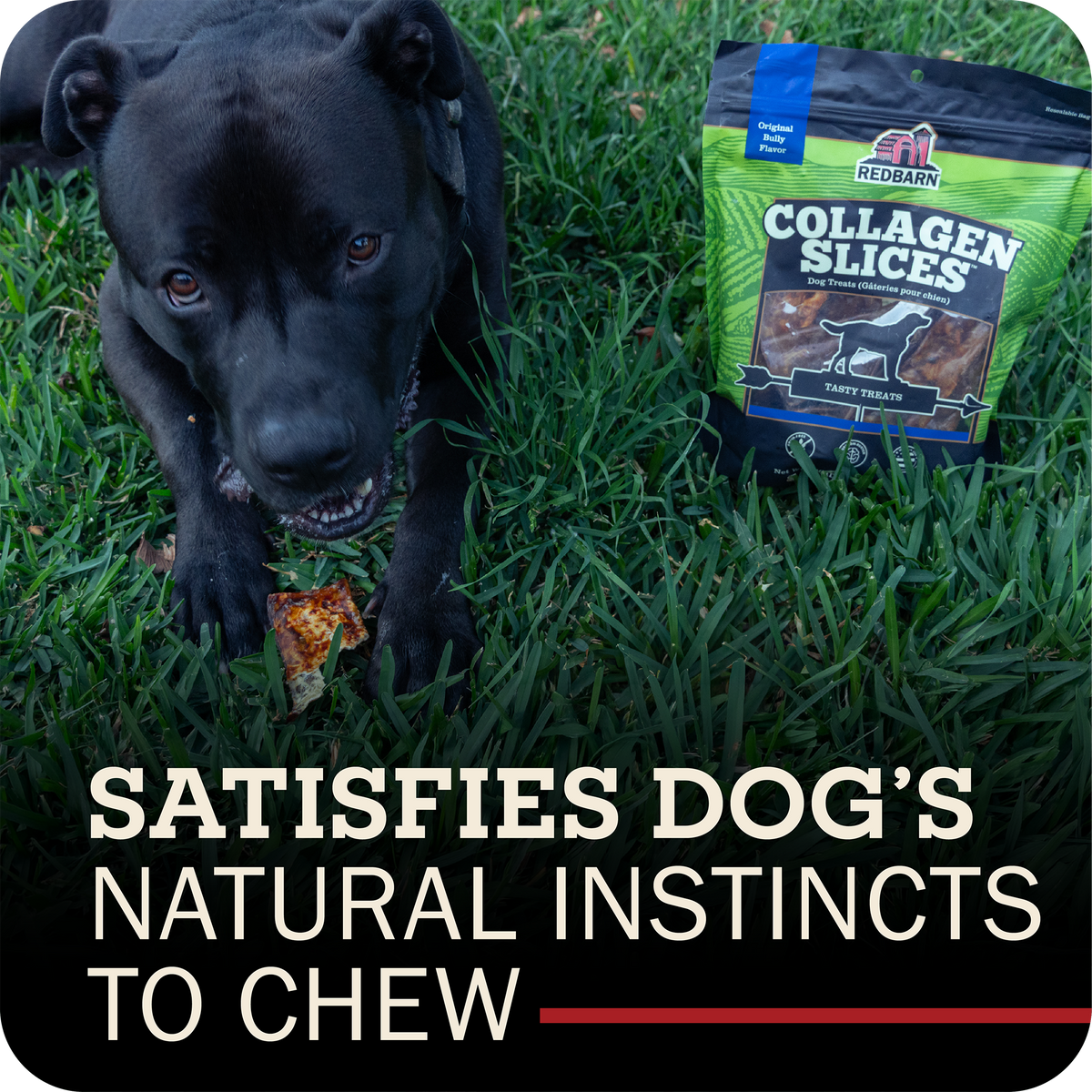 Collagen Dog Chew product image 6