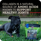 Collagen Dog Chew product image 9