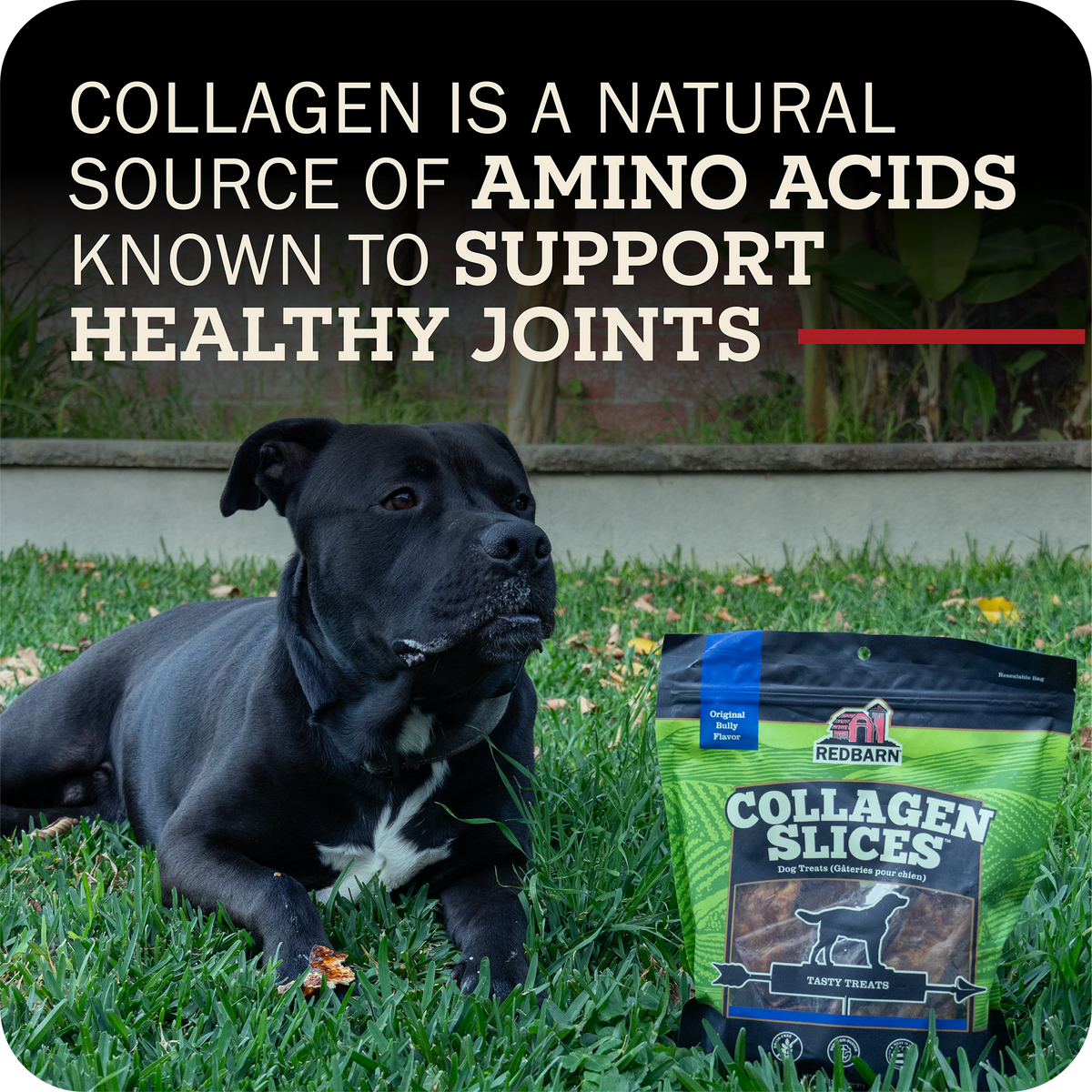 Collagen Dog Chew product image 9