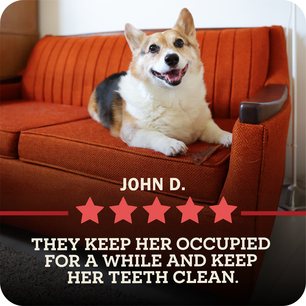 Collagen Dog Chew product image 12