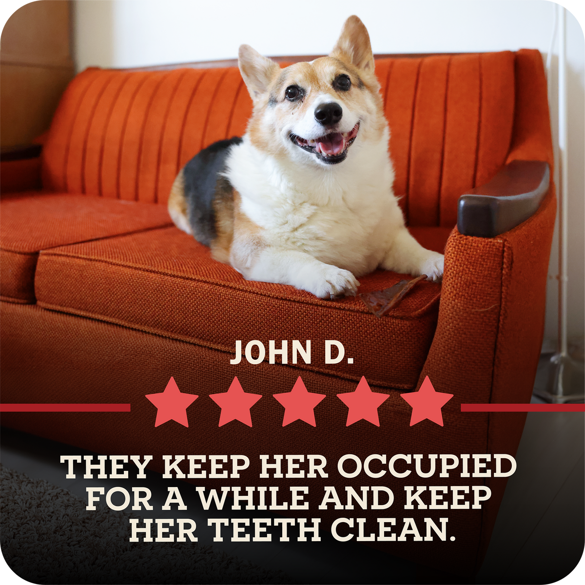 Collagen Dog Chew product image 12