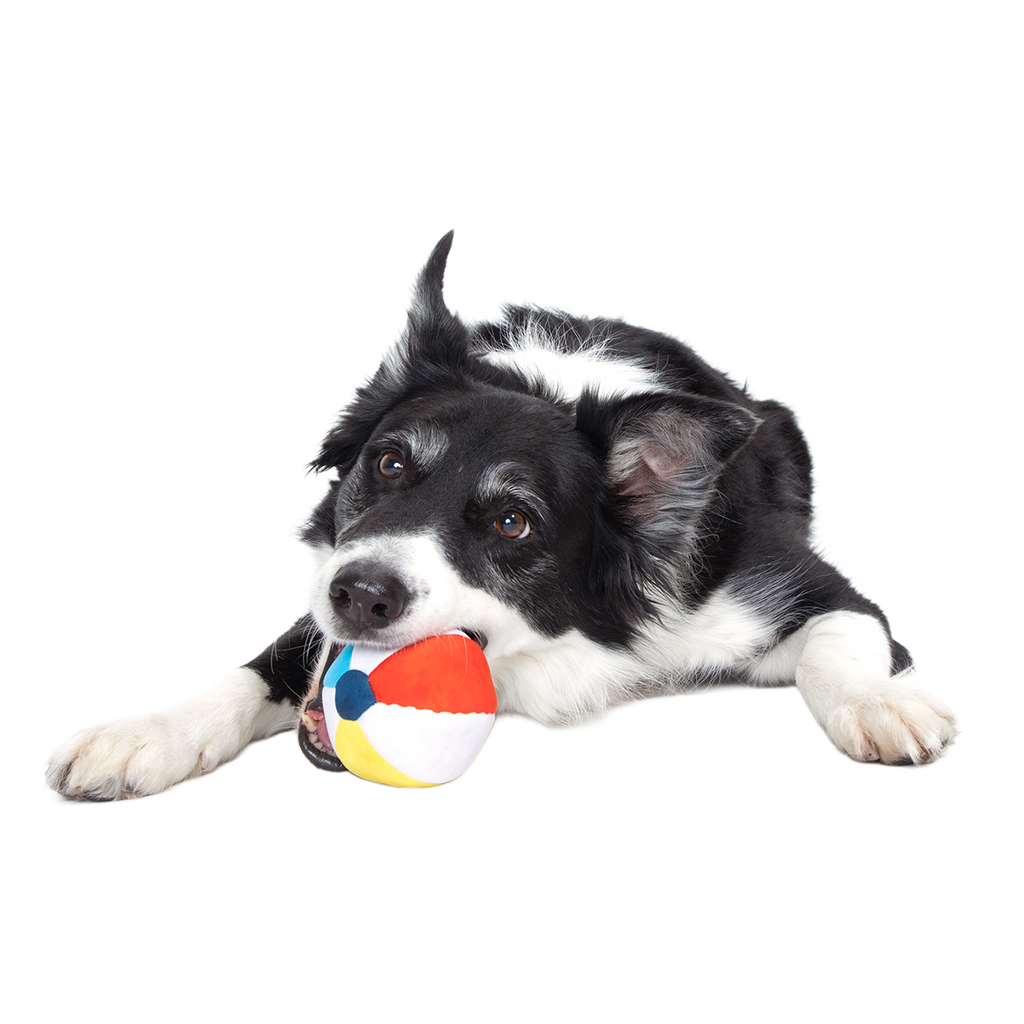 Dog Ball product image 2