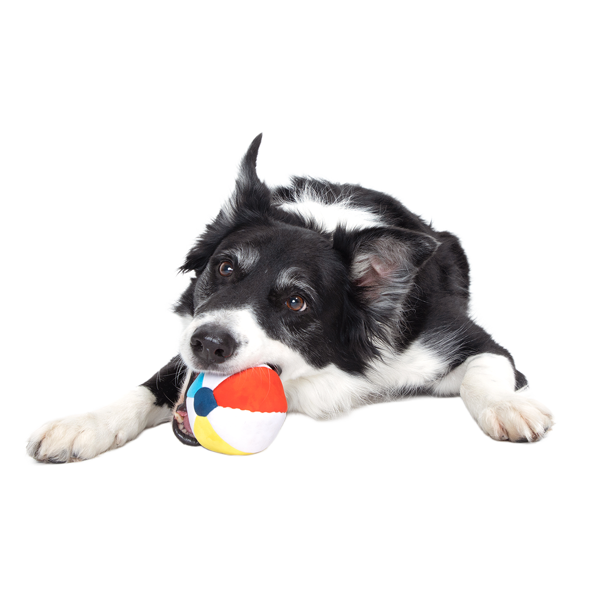Dog Ball product image 2