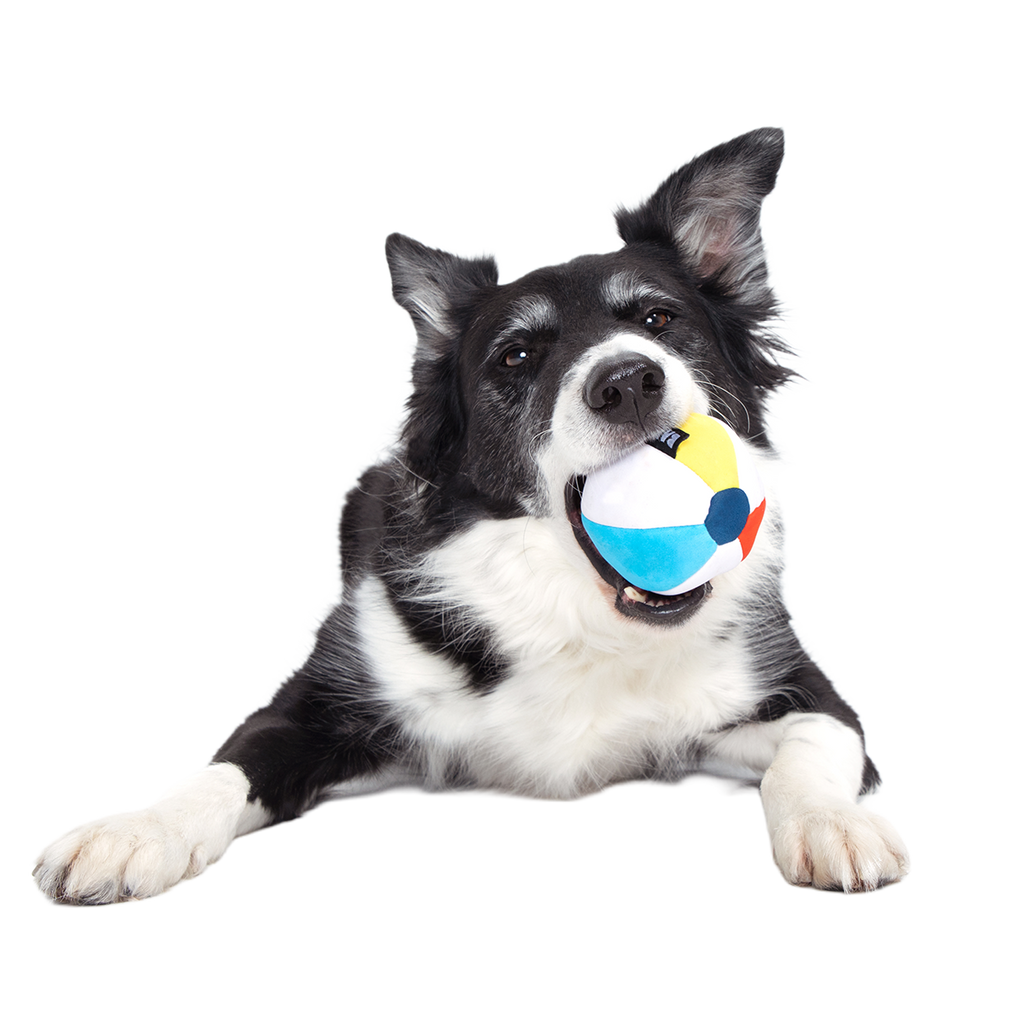 Dog Ball product image 3