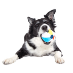 Dog Ball product image 3