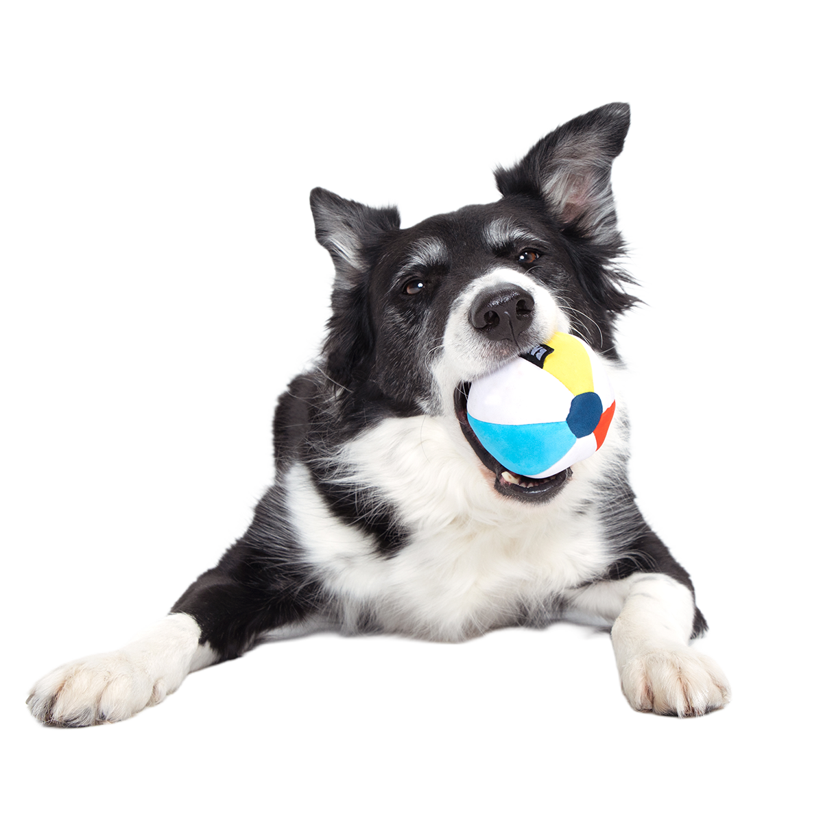 Dog Ball product image 3