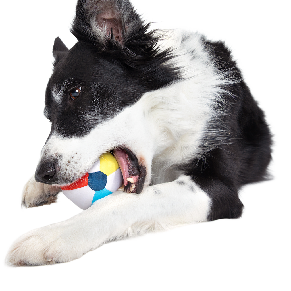 Dog Ball product image 4
