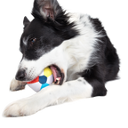 Dog Ball product image 4