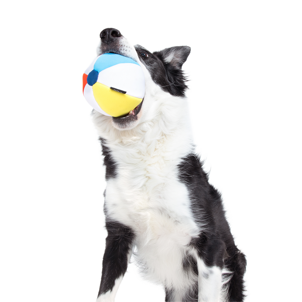 Dog Ball product image 5