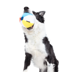 Dog Ball product image 5