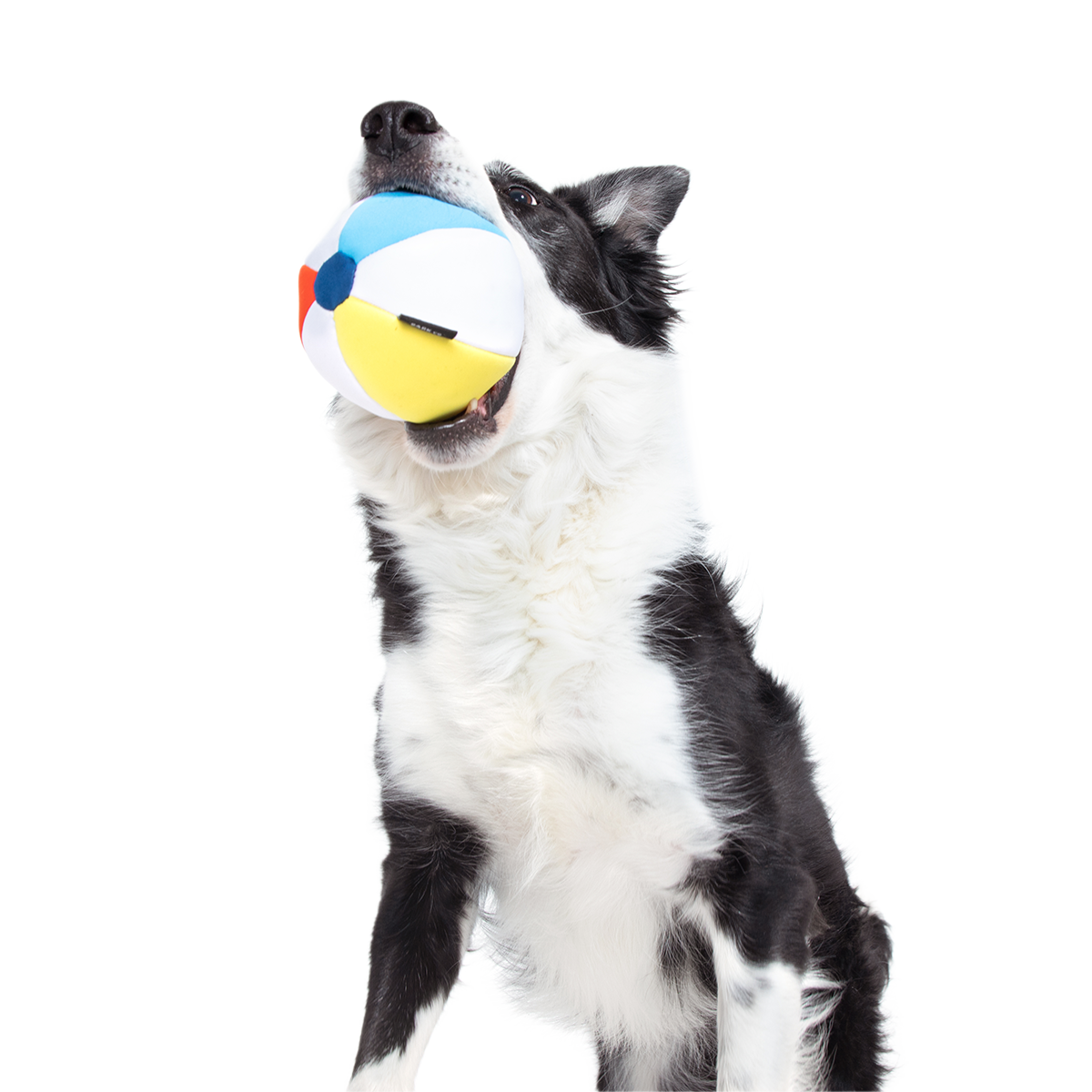 Dog Ball product image 5