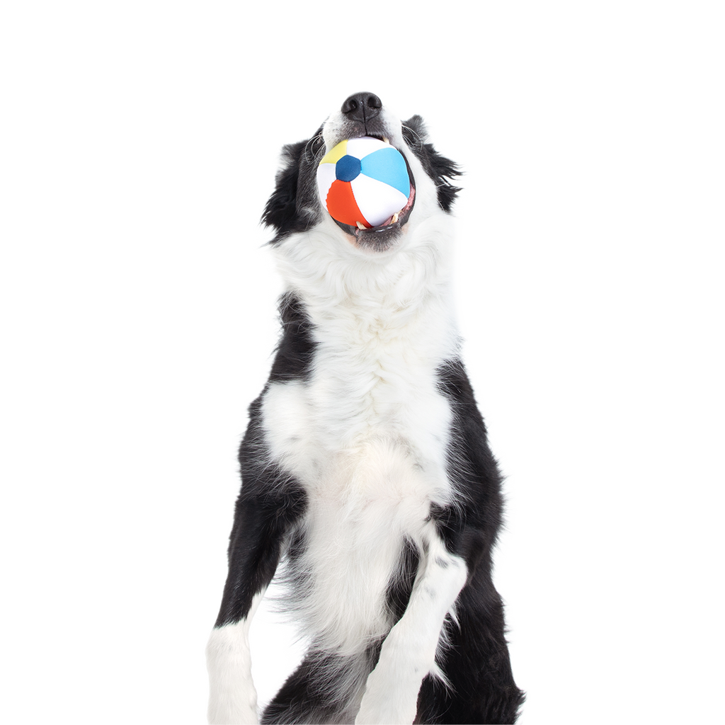Dog Ball product image 6