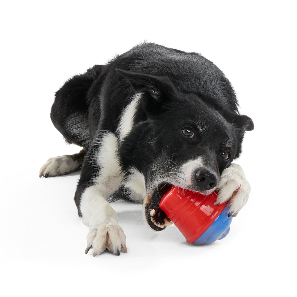Treat-Dispensing Dog Toy product image 2