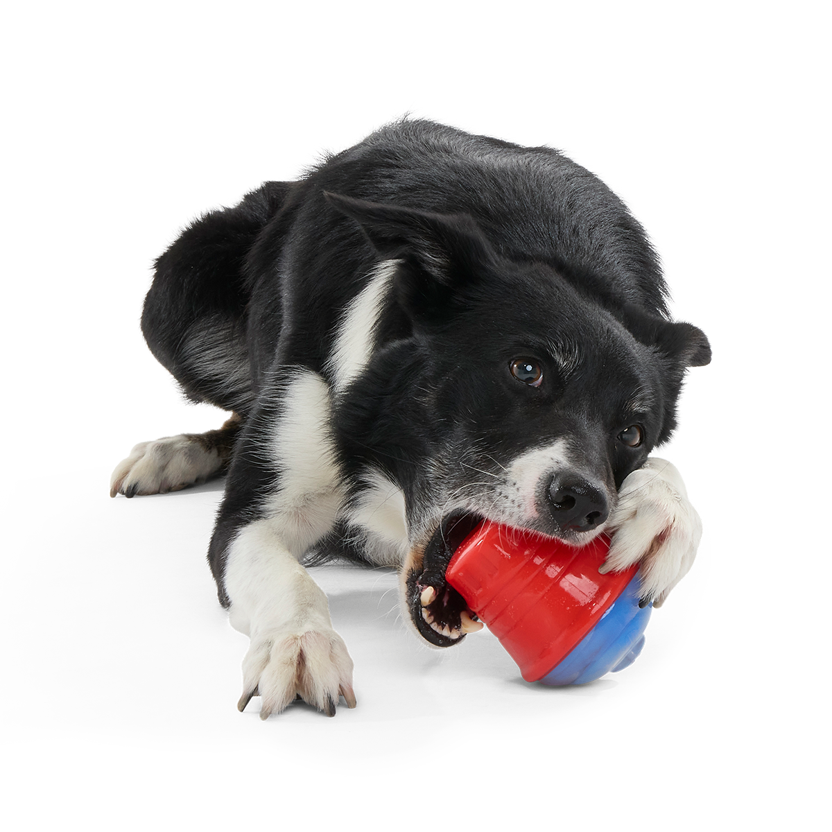 Treat-Dispensing Dog Toy product image 2