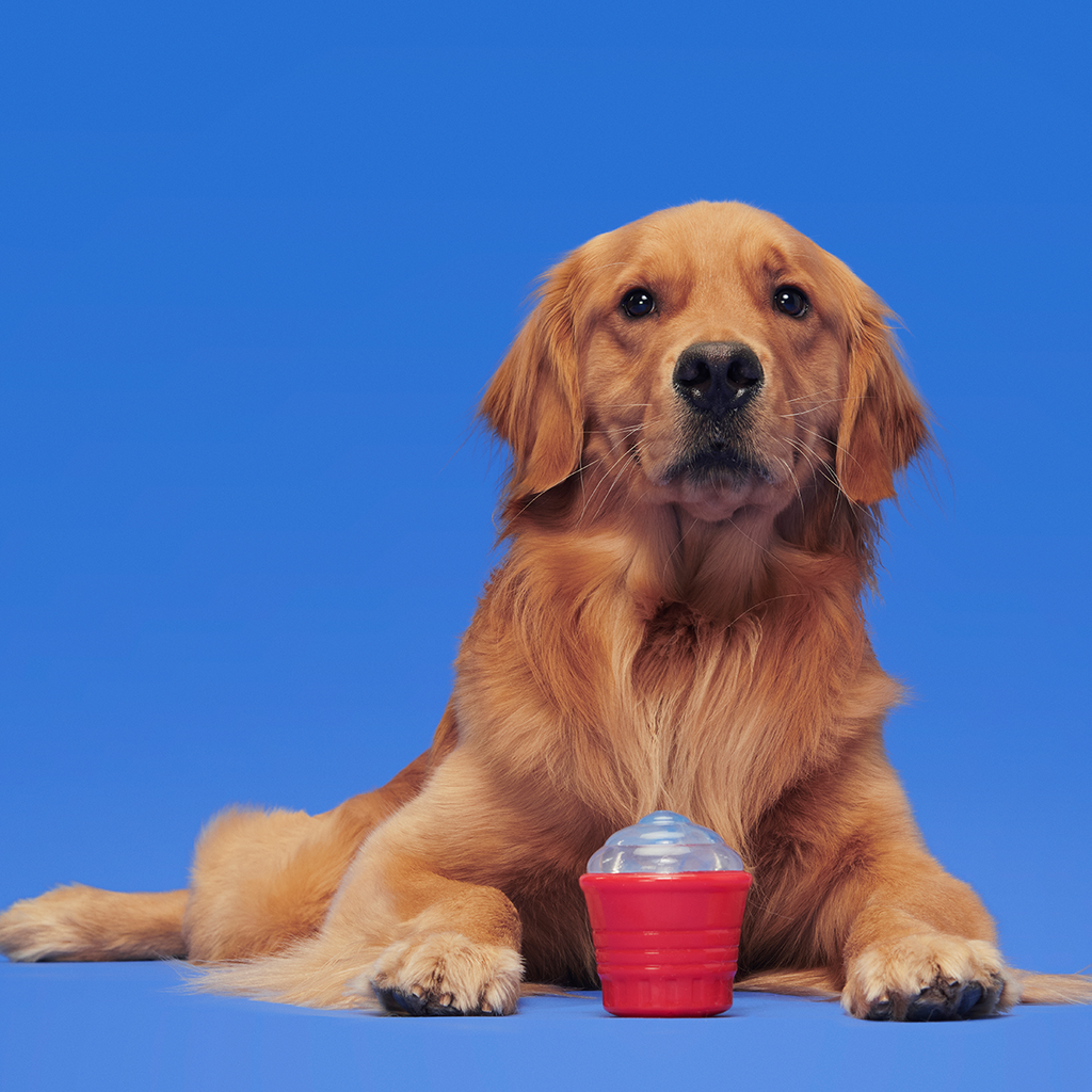Treat-Dispensing Dog Toy product image 3