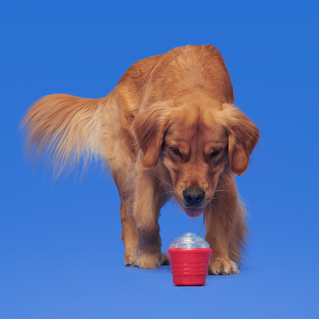 Treat-Dispensing Dog Toy product image 4